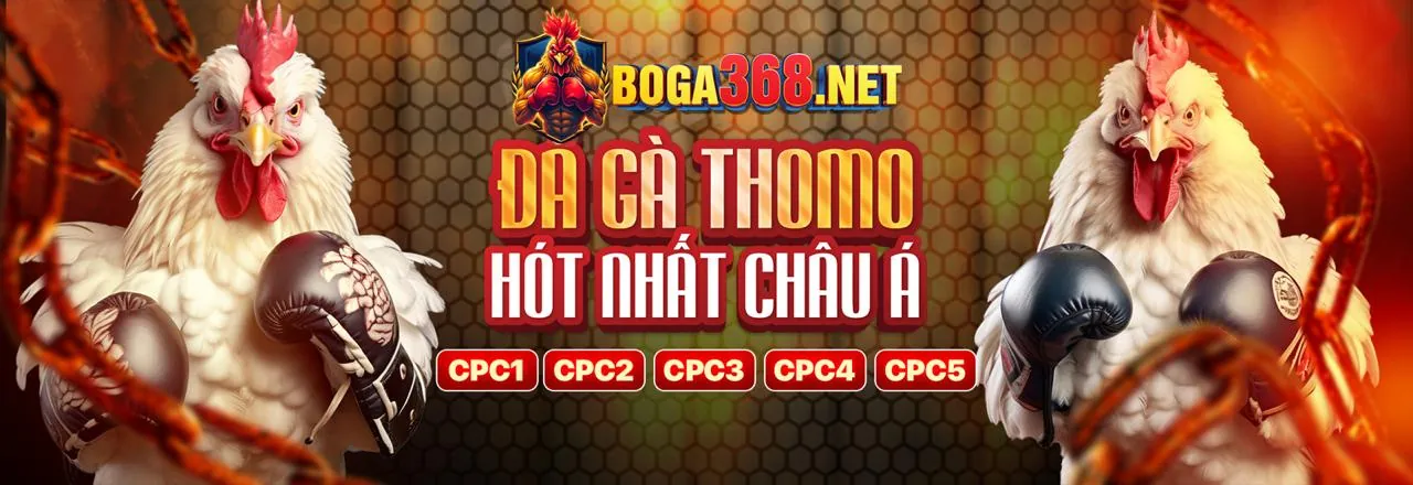 Các tính năng nổi bật của ứng dụng win88 bet