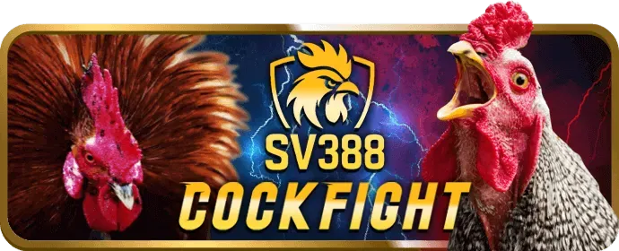 Win88 Bet thưởng hàng ngày