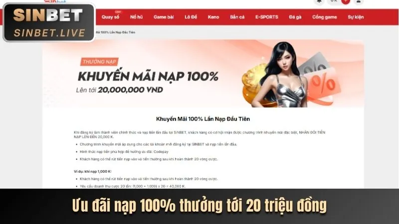 Chương trình VIP độc quyền Win88 Bet